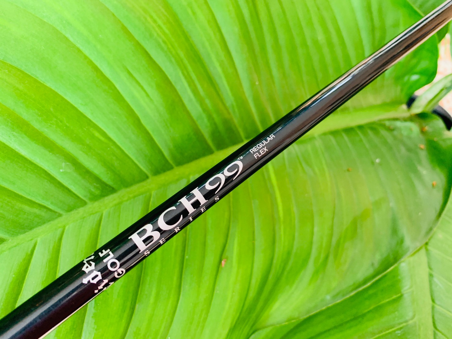 DRIVER BIG BIRD STEEL WOOD