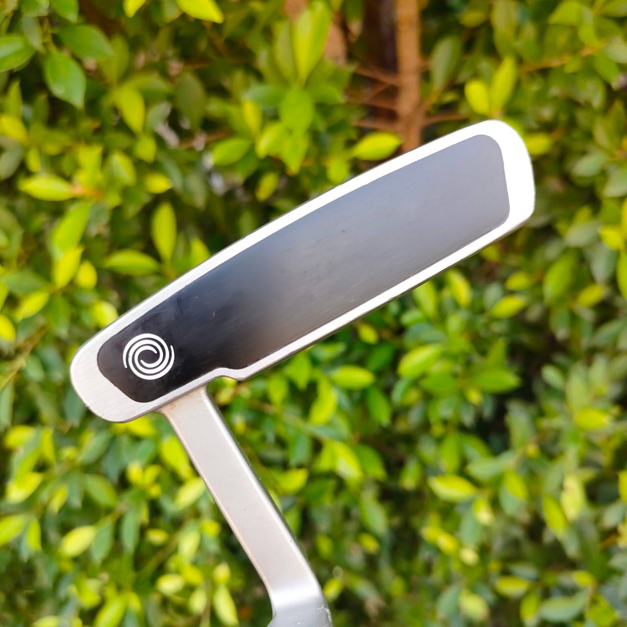 PUTTER ODYSSEY DUAL FORCE 330 MALLET ความยาว 34 นิ้ว พัตเตอร์ทรงมอลเล็ตที่ชดเชยสูง และมีการทำบล๊านซ์น้ำหนักได้ดีมาก ไม้กอล์ฟมือสอง ของแท้ BY NakaraLuxurious