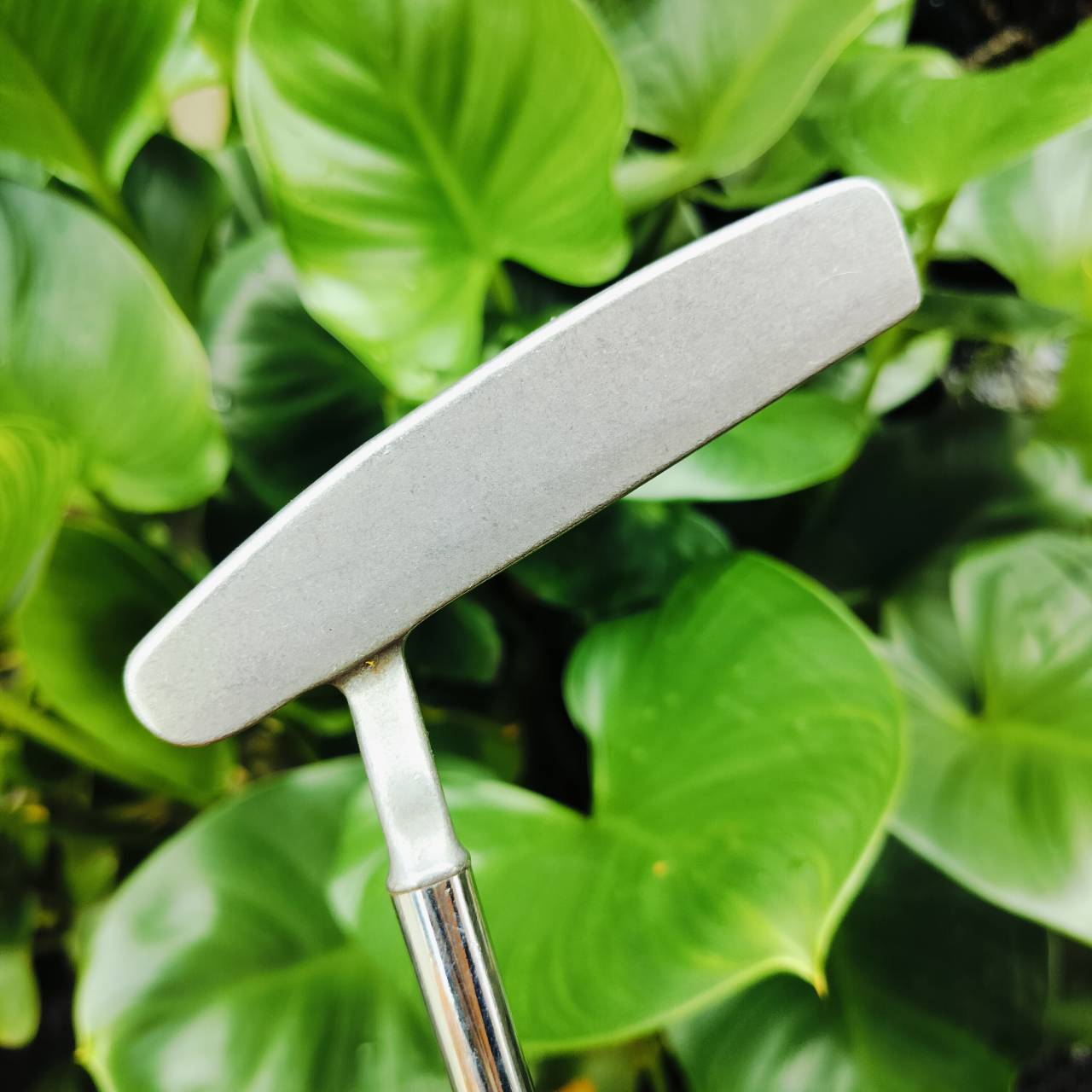 PUTTER PING ZING 2 ความยาวก้าน 35 นิ้ว น้ำหนักดี และหน้ายาวกว่า รุ่น ANSER พัตต์ง่ายกว่าด้วย ไม้กอล์ฟพรีเมี่ยมมือสอง ของแท้ By NakaraLuxurious