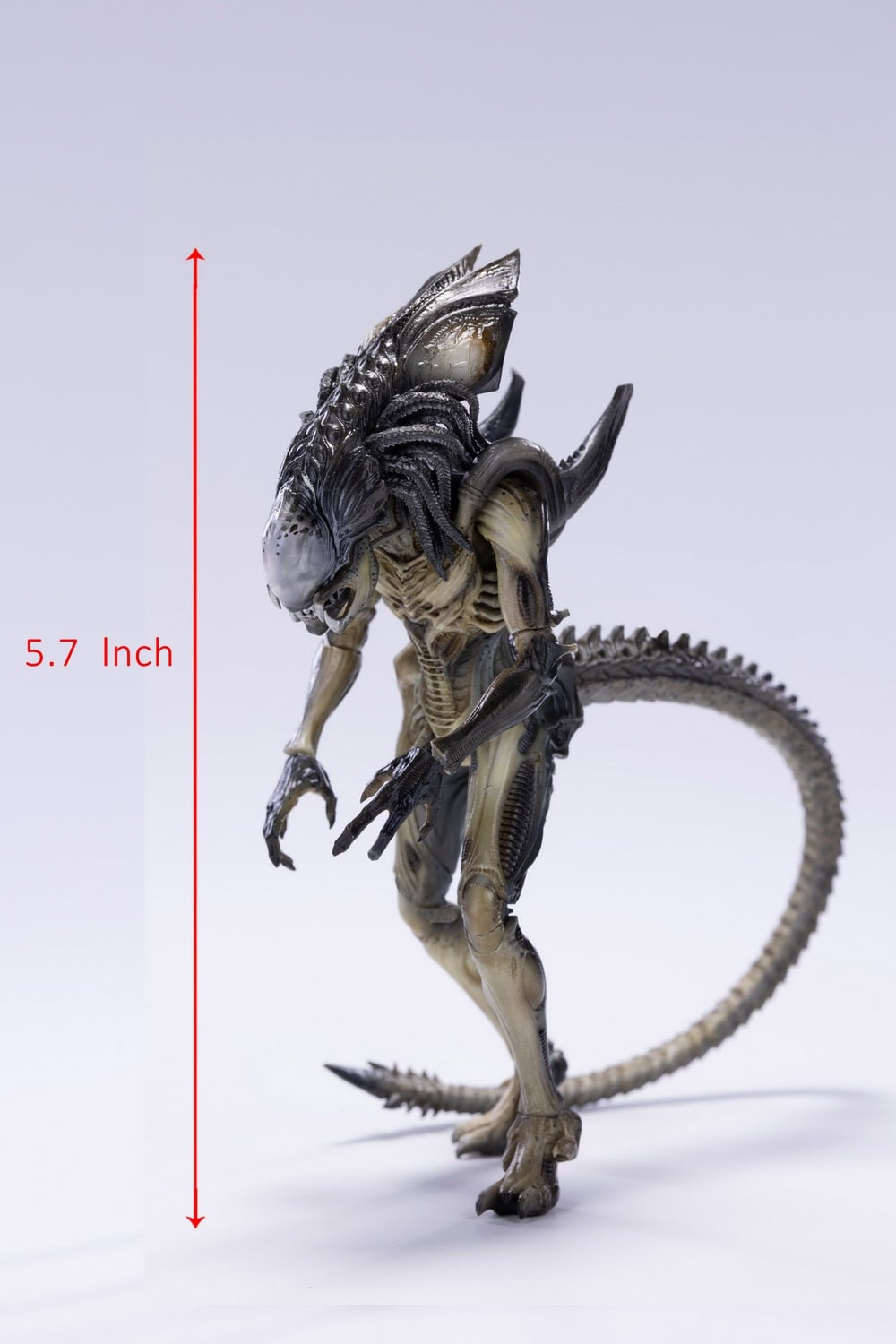 [สั่งจอง]HIYA 1/18 : Mini Series Alien vs. Predator