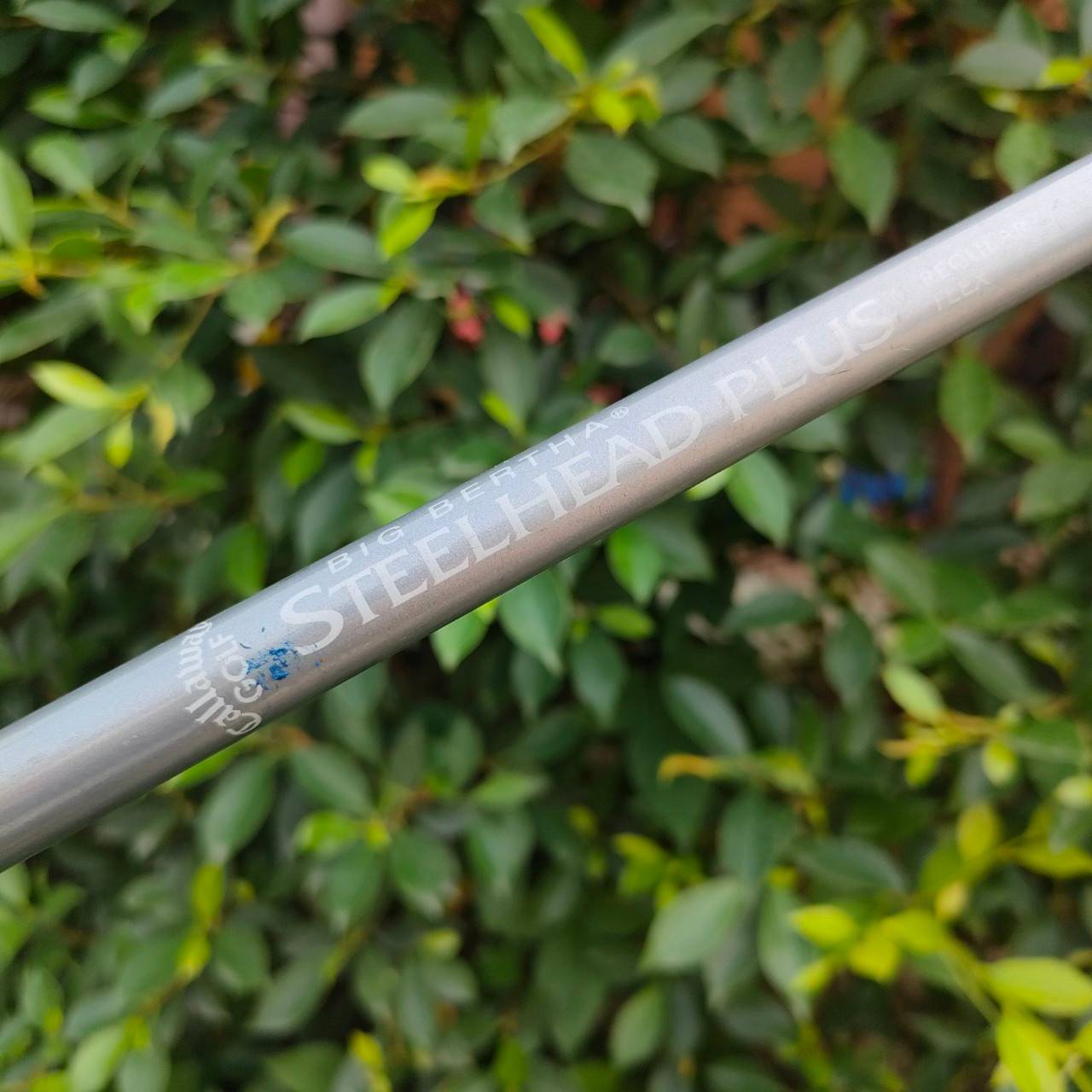 FW7 CALLAWAY BIG BERTHA STEELHEAD PLUS ก้าน STEELHEAD PLUS FLEX R ใช้แทนเหล็กยาวได้เลย