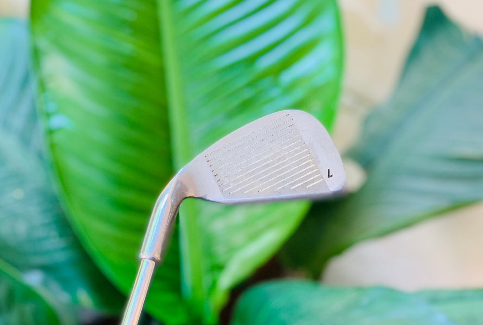 เหล็ก7 tour select II