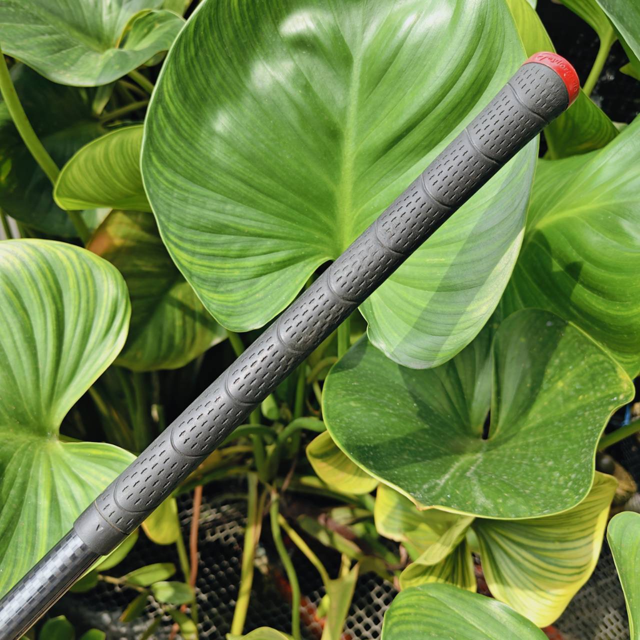 Driver TaylorMade BURNER รุ่น PLUS หน้าเด้ง ตีได้ระยะสุดๆ ราคาสุดเบา!