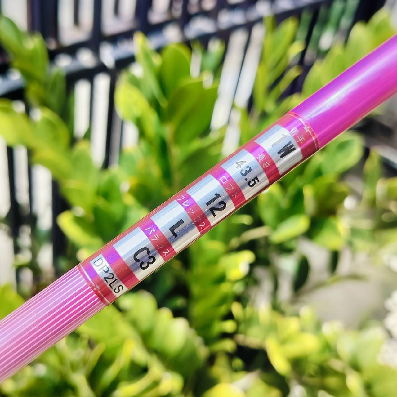 *ไม้กอล์ฟผู้หญิงครบชุดพร้อมออกรอบ* KASCO DIMPALS ครบชุดใหญ่ สีชมพูดสวย ผลิตจากญี่ปุ่น น้ำหนักเบา คุณภาพดีมาก เหมาะกับผู้หญิงไทยมากค่ะ ไม้กอล์ฟพรีเมี่ยมมือสอง ของแท้ By NakaraLuxurious