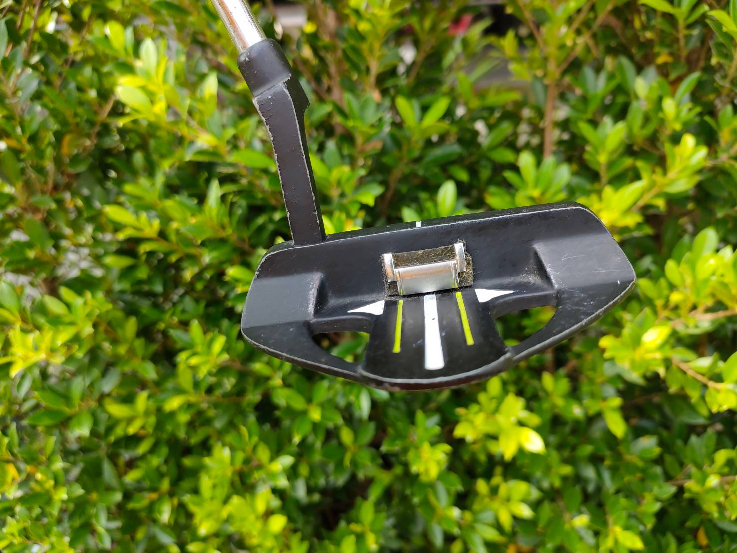 PUTTER SALAZENGER