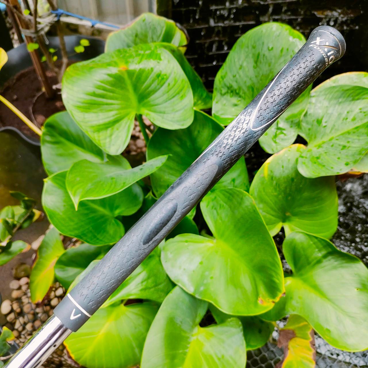 AW XXIO FORGED องศา52 ก้าน NS PRO 950 D.S.T. FLEX R เป็น WEDGE FORGED สุดนุ่ม สปินดีมาก ไม้กอล์ฟพรีเมี่ยมมือสอง ของแท้ By NakaraLuxurious