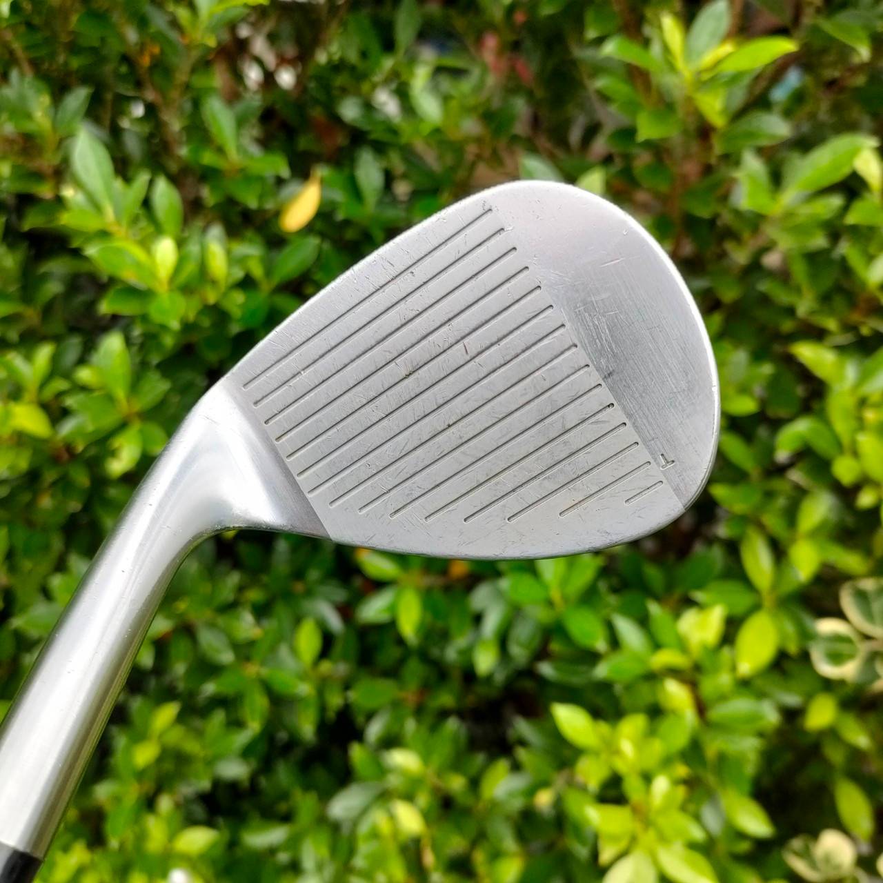WEDGE ROYAL COLLECTION T DB FORGED องศา 52 BOUNCE 09 พรีเมี่ยมญี่ปุ่น ก้าน DYNAMIC GOLD S200 ก้านพอดีกับ WEDGE มากครับ