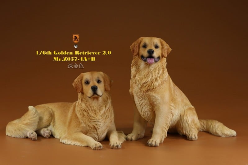 [สั่งจอง]Mr.Z MRZ057 1/6 : Golden Retriever 2.0