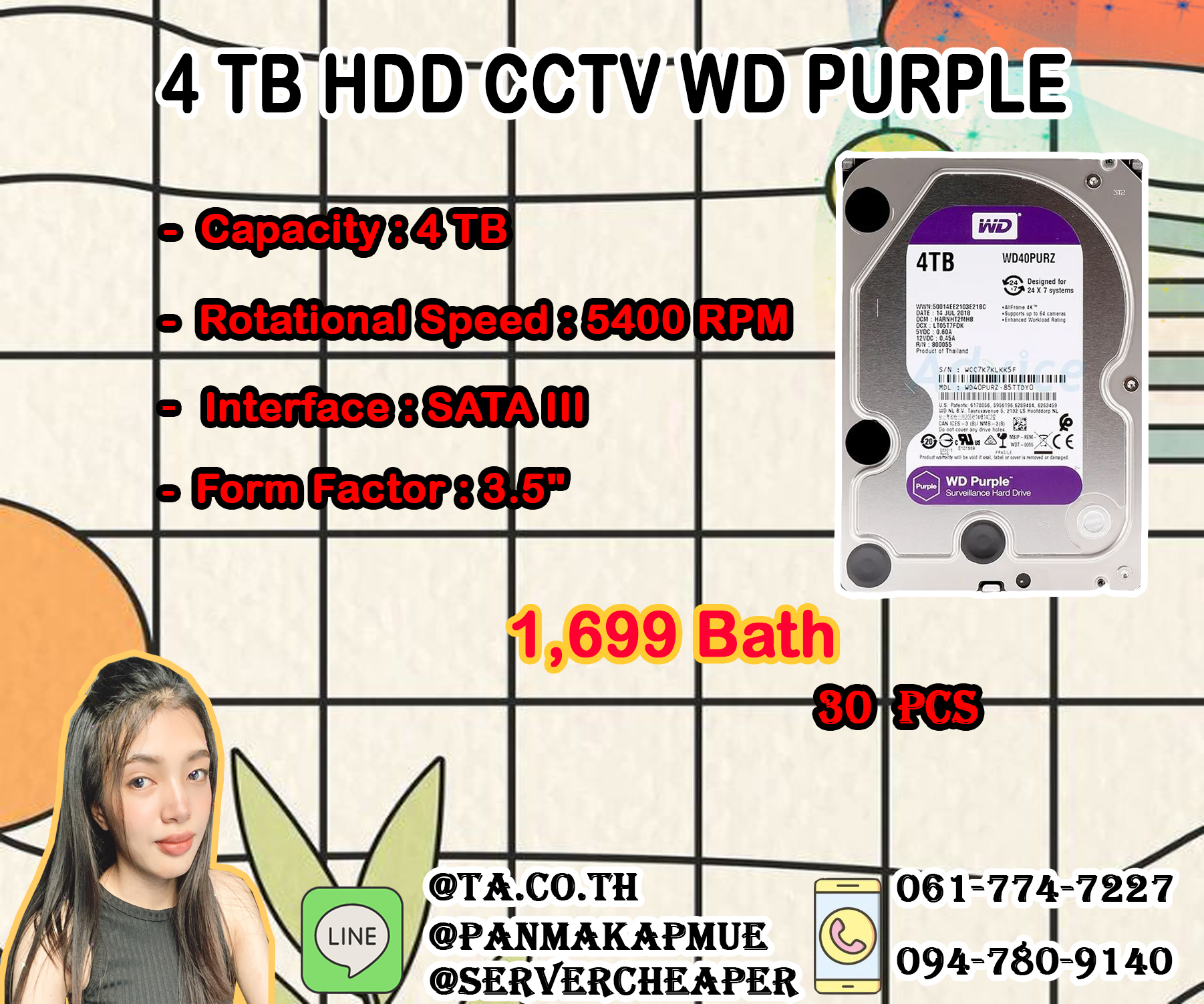 HDD WD PURPLE 4TB WD PURPLE