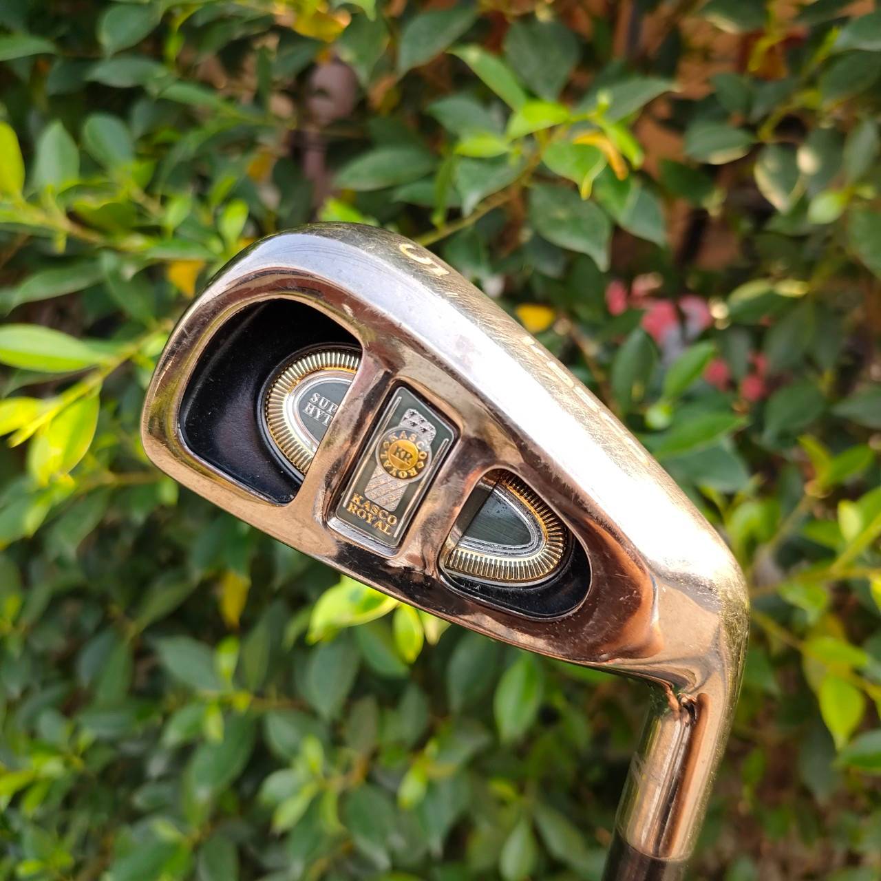 ชุดเหล็ก KASCO ROYAL SUPER HYTEN มีเหล็ก 5-9 เเละ PW AW SW ก้าน KASCO KR ROYAL FLEX R เป็นรุ่นระดับ HI-END สูงสุด หายากมาก ที่ญี่ปุ่นมือสอง ราคายังไป 3 หมื่นกว่าครับ ท่านที่ชอบขุดเหล็กหรูหรา และยัง ช่วยในการตี ตีวงแบบสบายๆ ก็ง่าย ได้ระยะ มากๆ เลยครับ เป็น