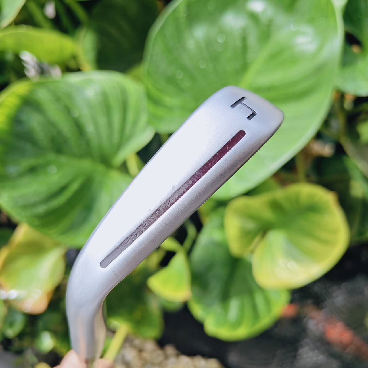 Iron #4 TaylorMade P•790 สุดยอดเหล็กเทคโนโลยีที่ผสาน “ระยะ + ฟีลลิ่ง” ได้อย่างลงตัว