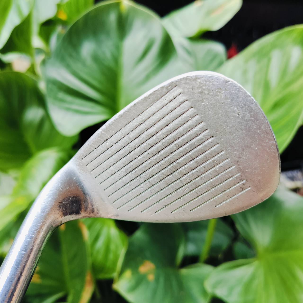 WEDGE MARUMAN V-SONIC องศา 56 METABIO พรีเมี่ยมญี่ปุ่น เนื้อวัสดุนุ่มมาก ชิพได้ฟีลลิ่งสุดๆ ไม้กอล์ฟมือสอง ของแท้ By NakaraLuxurious