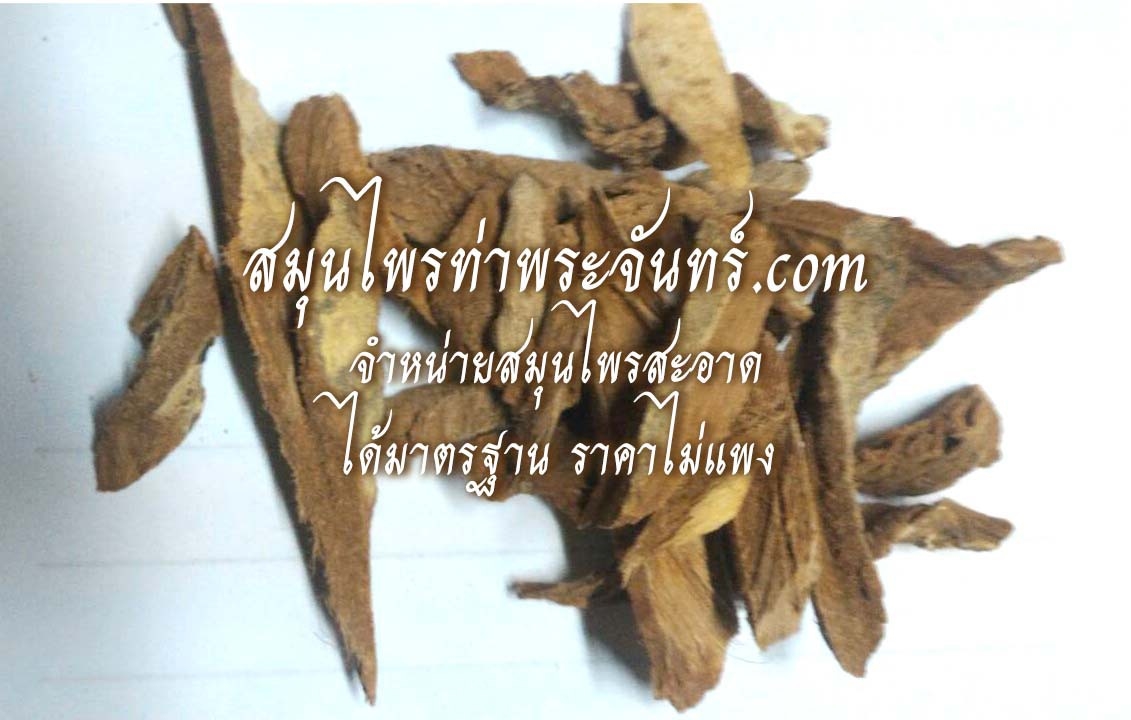 เพชรสังฆาตแห้ง ( 500กรัม - 1กิโล ) / ( 500g - 1kg ) สมุนไพรท่าพระจันทร์