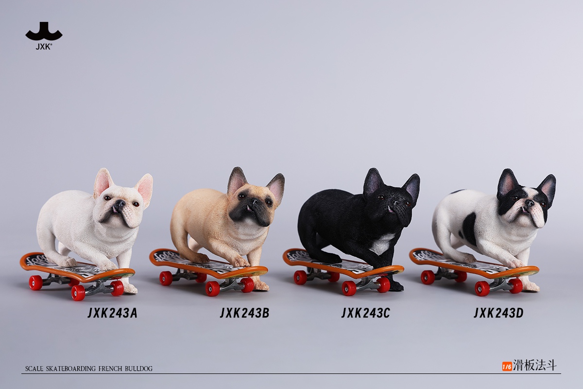 [สั่งจอง] JXK 1/6 : Skateboarding French Bulldog