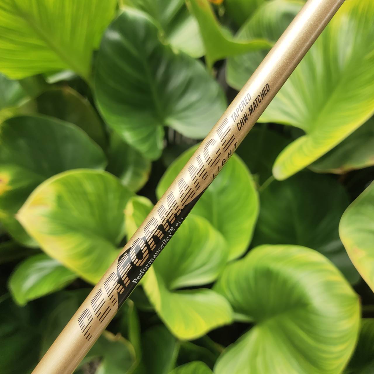 U.S. Kids Golf – Championship Series เหมาะสำหรับน้องๆ ความสูงประมาณ 145–155 cm