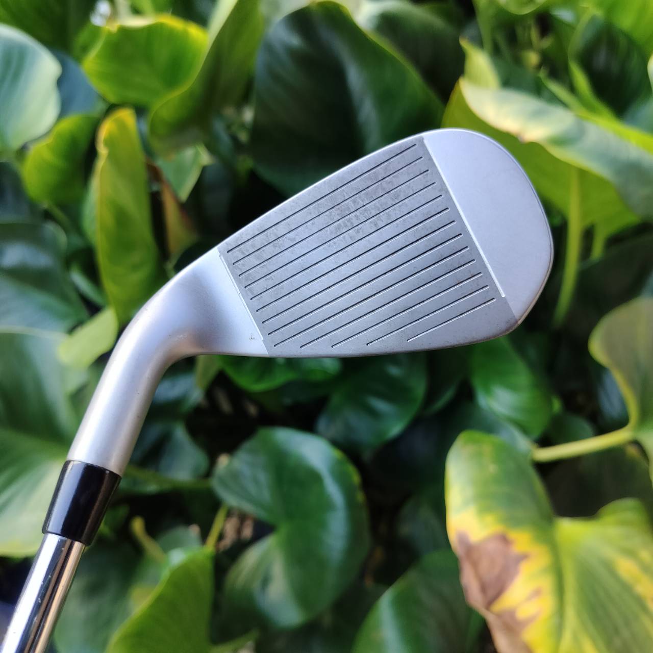 ไม้เหล็ก 9 รุ่น INESIS 100 จาก Decathlon เป็นตัวเลือกยอดนิยมสำหรับนักกอล์ฟมือใหม่ ไม้กอล์ฟพรีเมี่ยมมือสอง ของแท้ By NakaraLuxurious