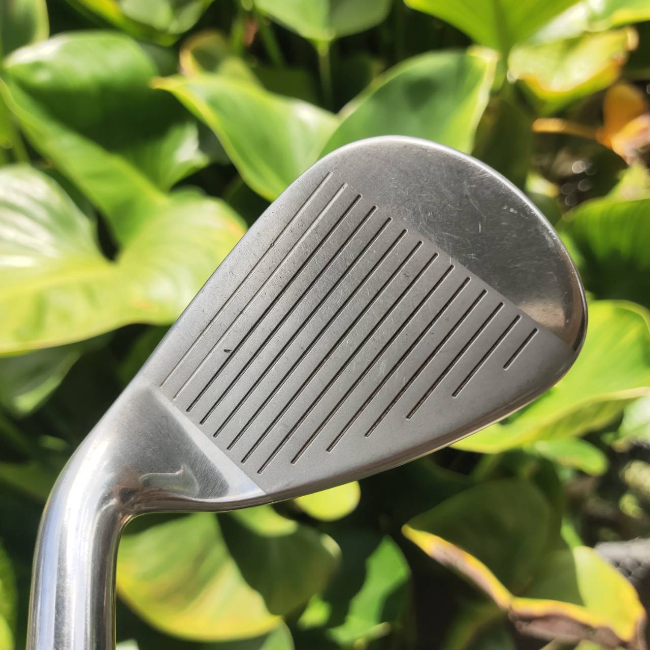 เหล็ก 8 Callaway Rogue Star หน้าเหล็กบางพิเศษ สร้างระยะได้สูงมาก