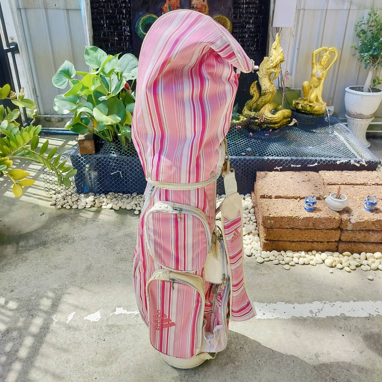 *** ไม้กอล์ฟผู้หญิงครบชุด *** ถุงกอล์ฟ ADIDAS มีลอกเยอะ *** ไม่มีเหล็ก 6 *** FULLSET KASCO DIMPLAS EL LADY ชุดไม้กอล์ฟครบเซ็ตยอดนิยมสูงสุด แบรนด์ญี่ปุ่น หัวไม้ได้ถึง 4 หัว หน้าเด้งตีไกล ไม้กอล์ฟพรีเมี่ยมมือสอง ของแท้ By NakaraLuxurious