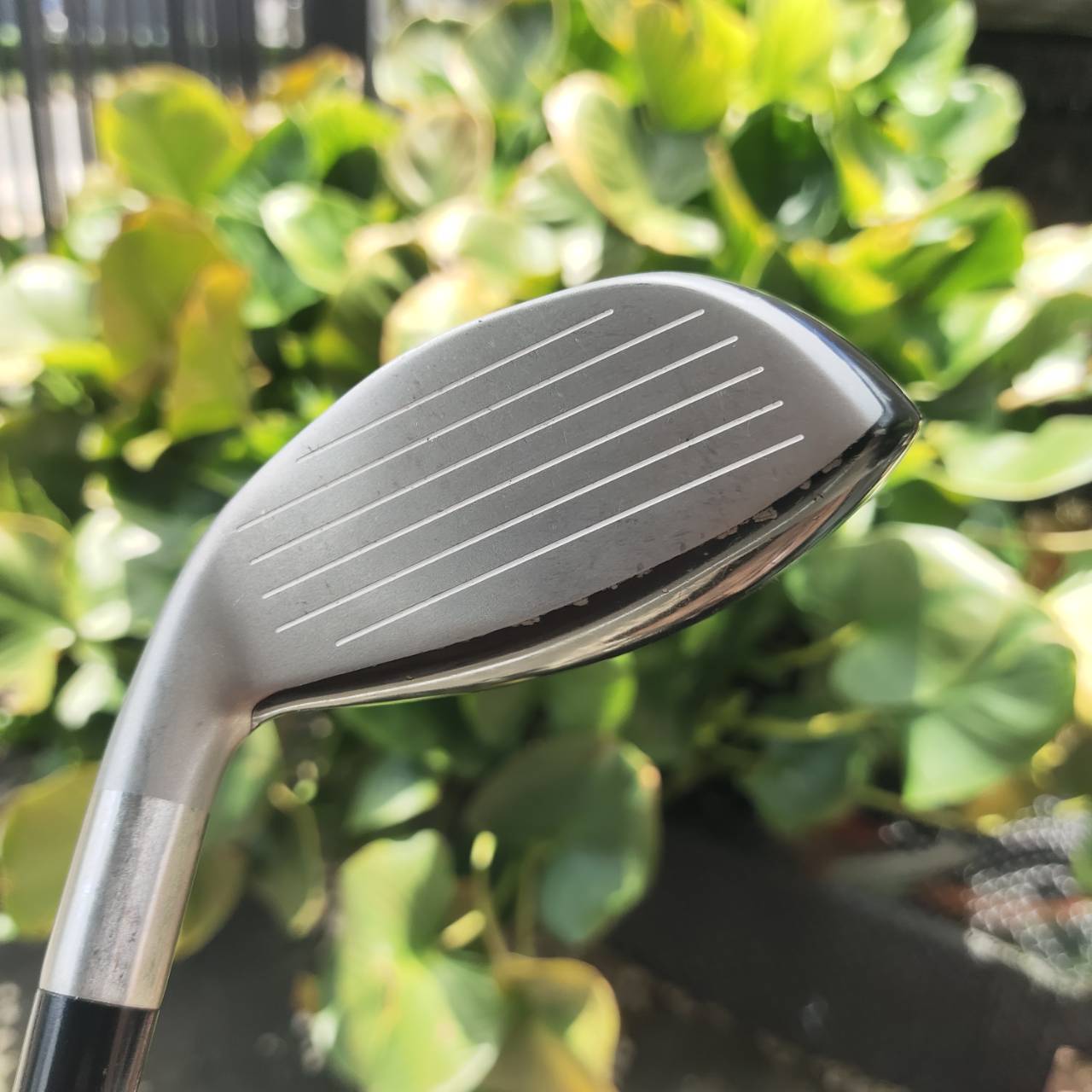 HYBRID CLEVELAND CLASSIC ไฮบริดตีง่าย สำหรับคนอยากเปลี่ยนจากเหล็กยาว!