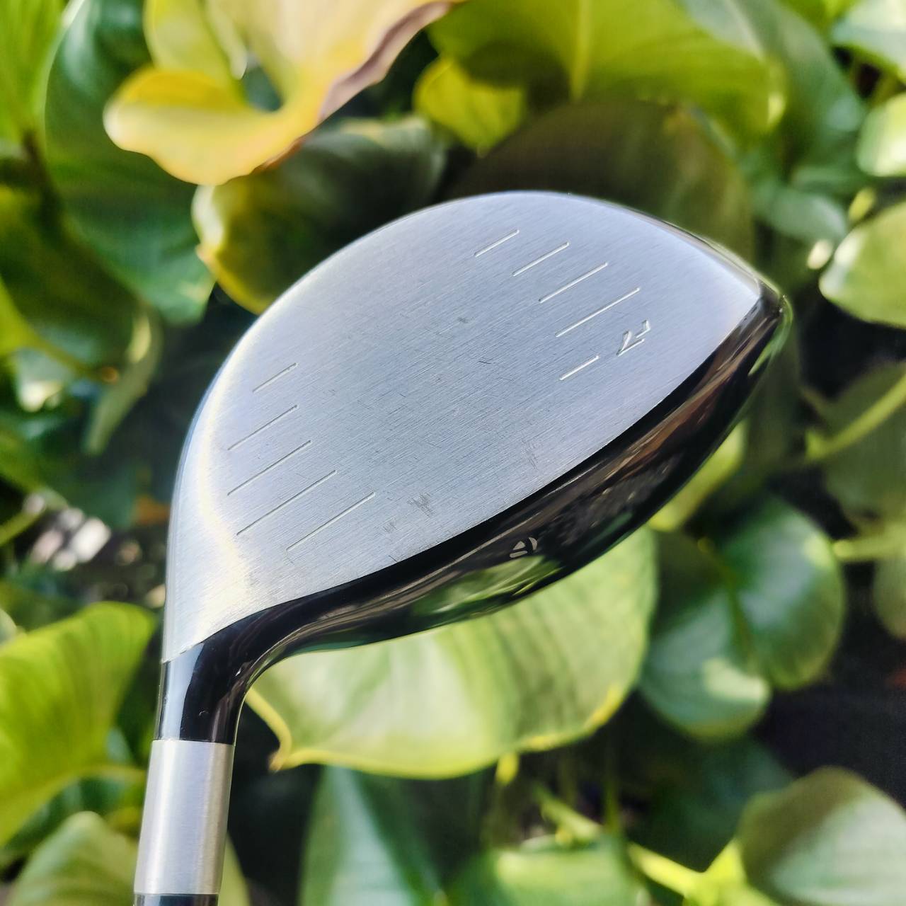 DRIVER TAYLORMADE r7 LIMITED องศา 10.5 ก้าน MATRIX OZIK XCON-5 FLEX R ตัว LIMITED ตีไกลพิเศษ เน้นตีแบบสบายๆ ไม้กอล์ฟพรีเมี่ยมมือสอง ของแท้ By NakaraLuxurious