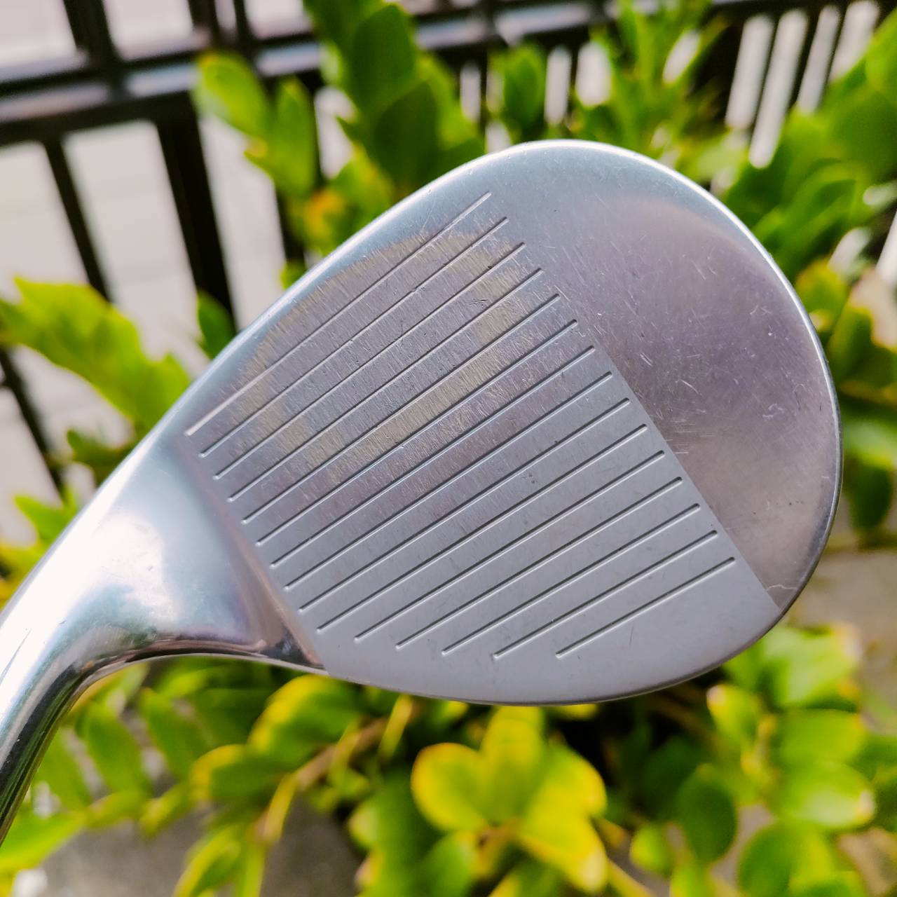 WEDGE MARUMAN SHUTTLE i3000MX MARAGING หน้าเด้งมาก องศา 51 BOUNCE 2 LOW BOUNCE เป็น WEDGE หน้าเด้ง MARAGING ที่ชิพง่ายมาก ตีเต็มวงก็ได้ สปินจัดๆ ไม้กอล์ฟพรีเมี่ยมมือสอง ของแท้ By NakaraLuxurious