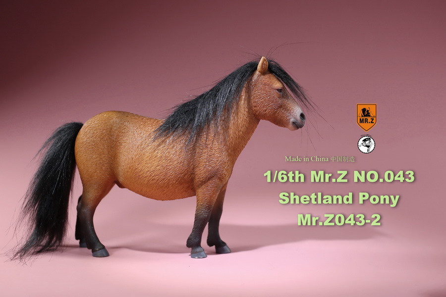 [สั่งจอง]น้องม้าน้อยโพนี่ 1/6 MR. Z Animal Model MRZ043 1/6th Shetland Pony(all 5 colors)