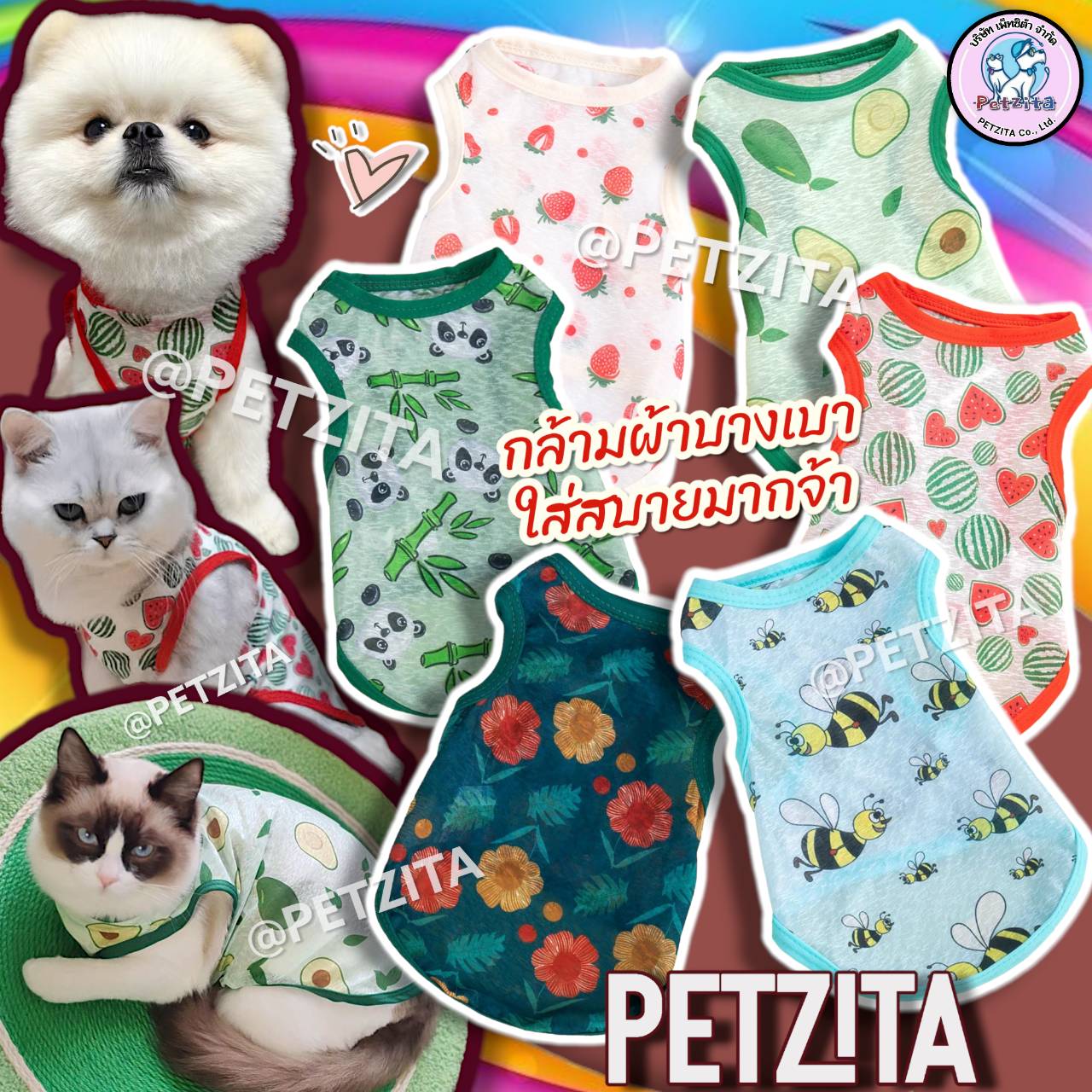 🇹🇭พร้อมส่ง🇹🇭 💟💕 เสื้อกล้ามผ้าฝ้าย บางเบา ใส่สบายสุดๆ for สัตว์เลี้ยง เสื้อสุนัข ชุดหมา ชุดแมว