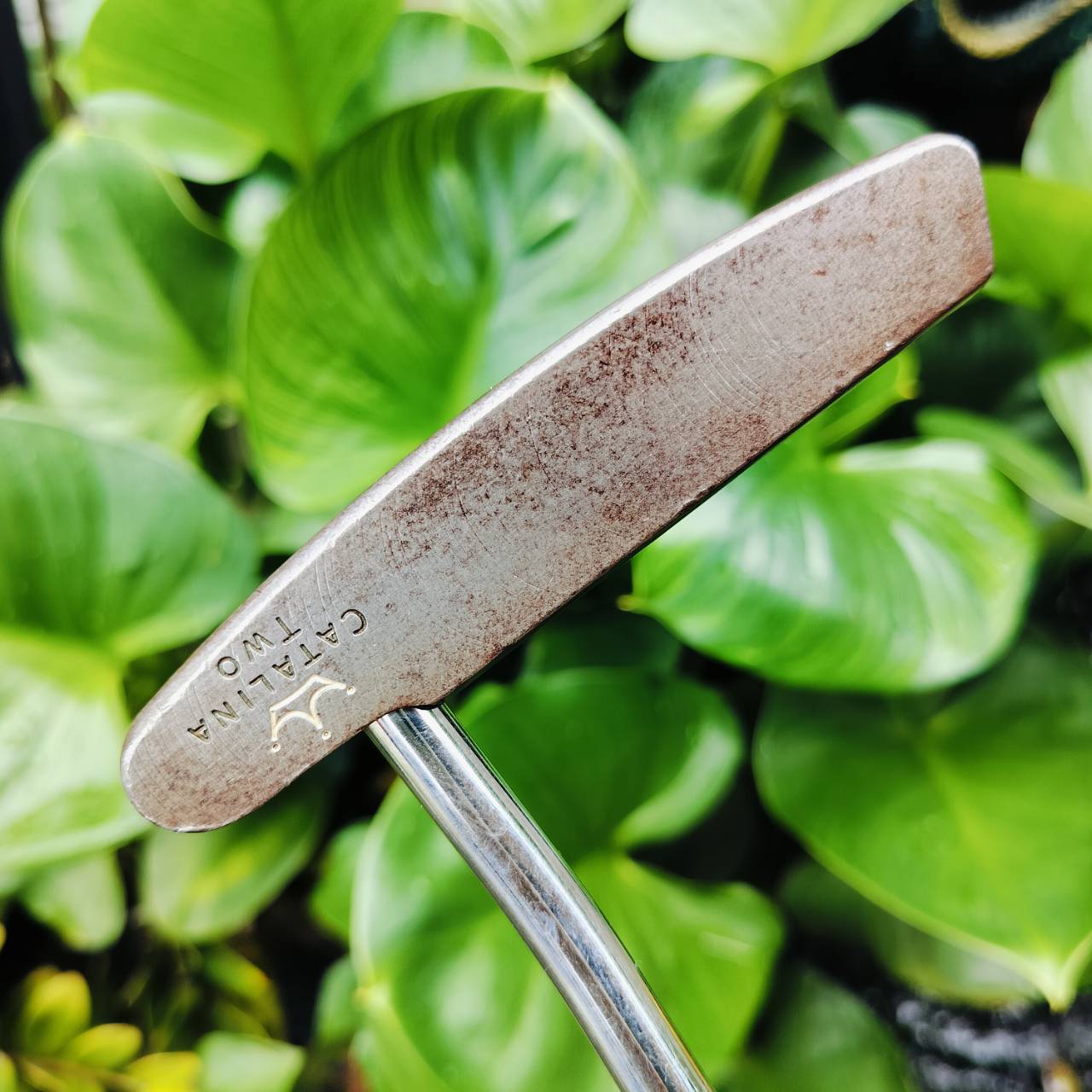 PUTTER SCOTTY CAMERON Oil Can™ Classics Catalina 2 THE ART OF PUTTING เป็นแบบไม่เคลือบ ทำให้ได้ฟีลลิ่งที่นุ่มนวลขึ้นอย่างมาก และหน้าสัมผัสทำงานได้เต็มที่ พัตต์ลูกเกาะไลน์แบบสุดๆเลยค่ะ ไม้กอล์ฟพรีเมี่ยมมือสอง ของแท้ By NakaraLuxurious