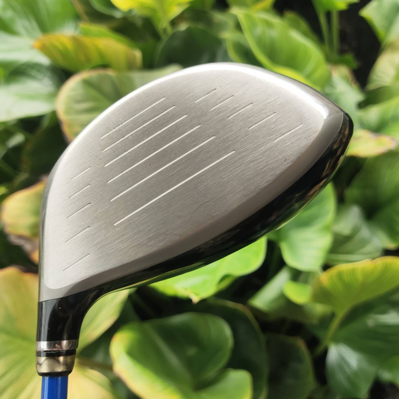 Driver PRGR GN 502 TOUR ให้ฟีลลิ่งแน่น หน้าตอบสนองไว ระยะไกลแบบมีคลาส!