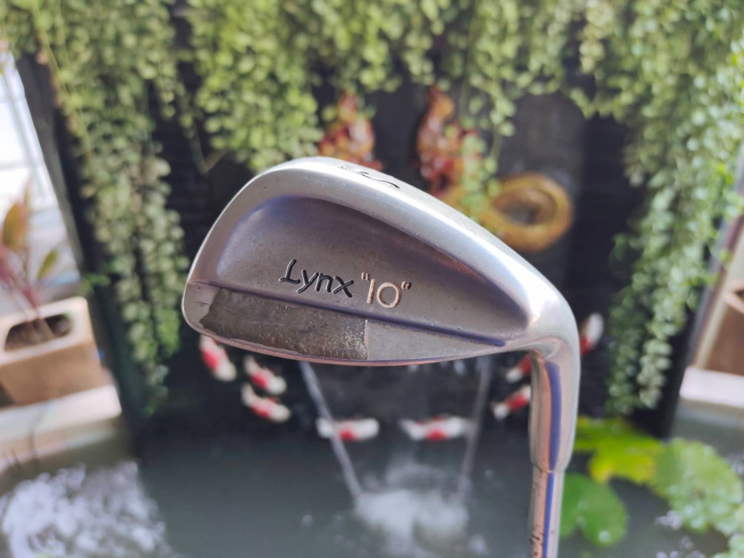 SW LYNX " 10 "