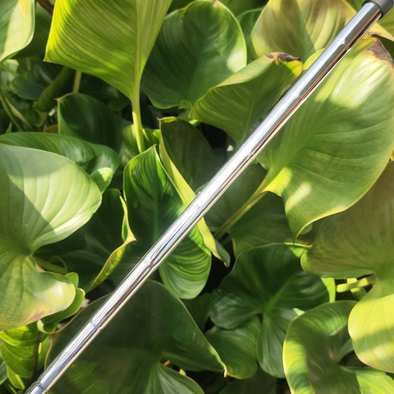 WEDGE EXCEED GOLD องศา 52 หน้าตะไบ ตกหยุดถอยๆ โหดมาก!!! วัสดุพรีเมี่ยม สีทอง สวยงามและหรูหรามาก!!!