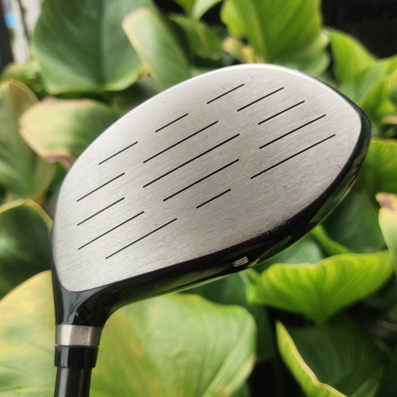 Driver WILSON DEEPRED DISTANCE เน้นตีไกล ก้าน GRAFALLOY PROLITE+ หัวเบต้าไทเทเนี่ยม หน้าเด้ง