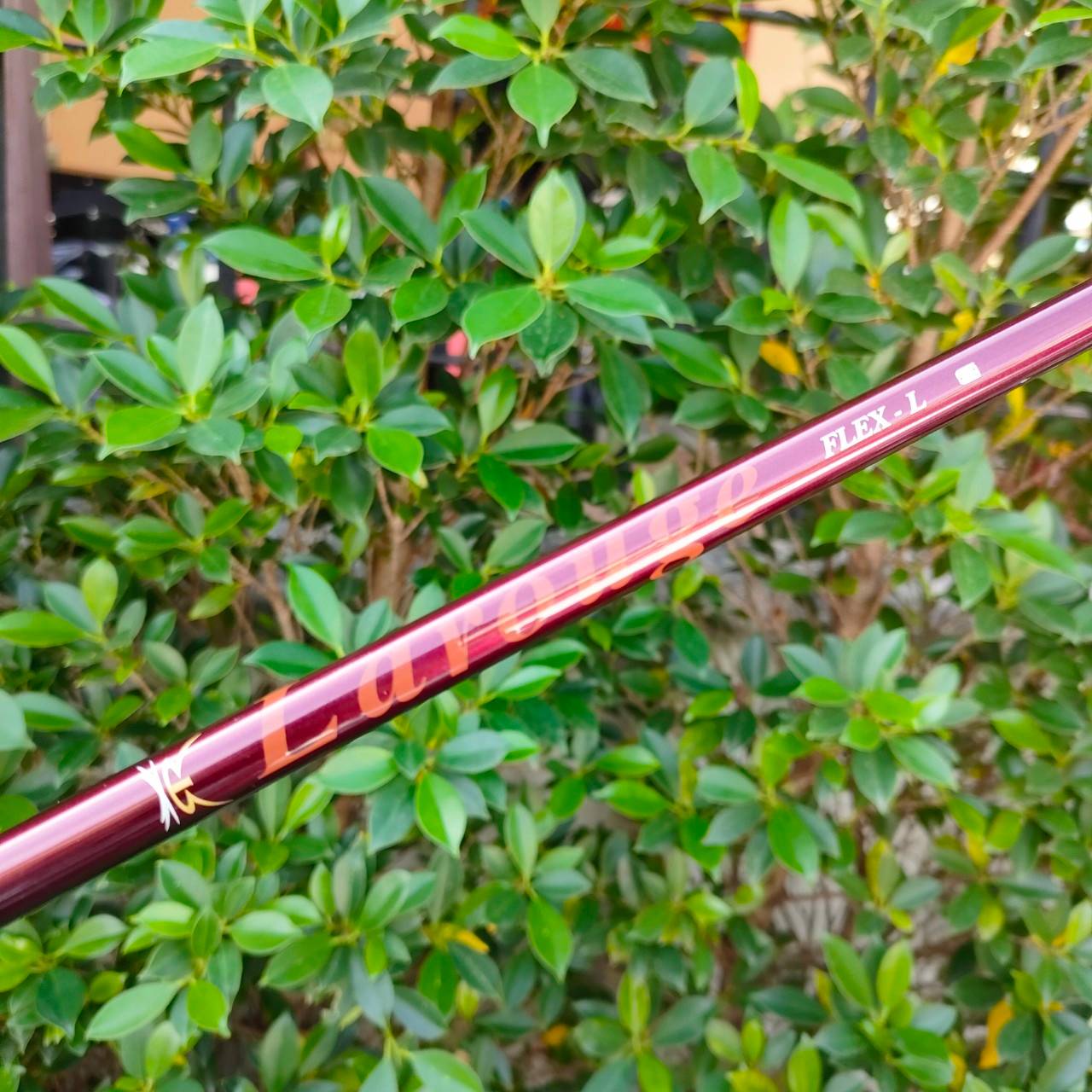 **ไม้กอล์ฟสำหรับผู้หญิง** เหล็ก 7 LAROUGE ก้าน LAROUGE FLEX L ตีง่าย ก้านเบา ก้านนุ่ม