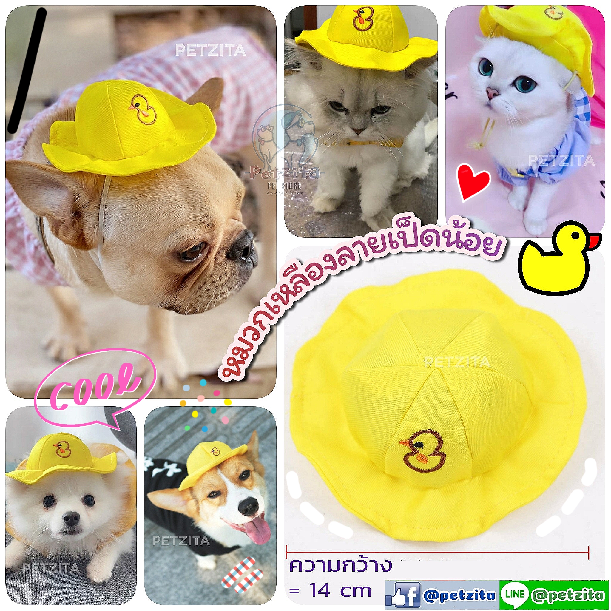 🇹🇭พร้อมส่ง🇹🇭 🐤 หมวกเหลืองลายเป็ดน้อย for pet หมวกสุนัข ชุดหมา ชุดแมว สำเนา