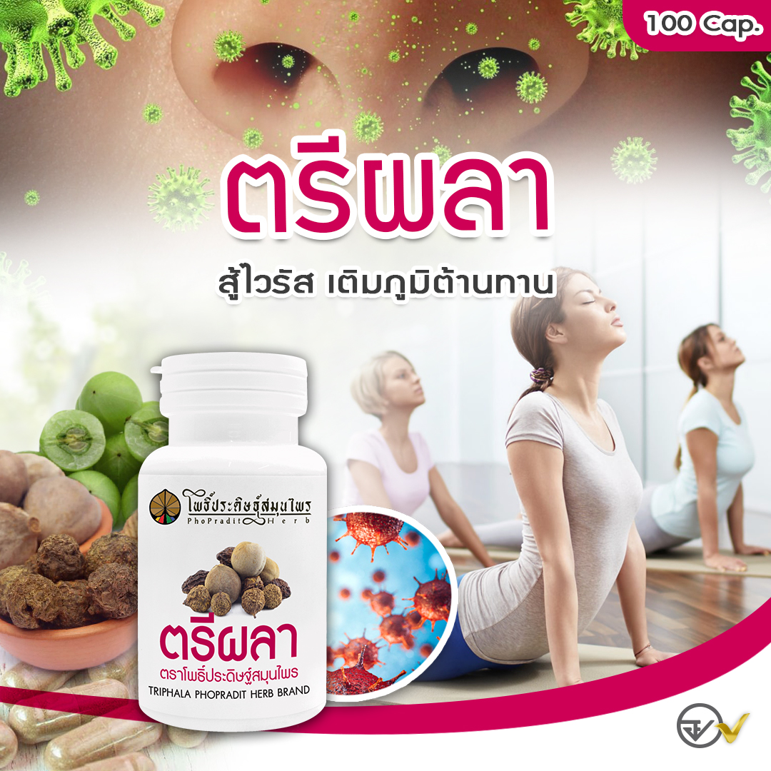 ยาแคปซูล ตรีผลา (ยาระบาย ปรับสมดุลธาตุในร่างกาย) ตราโพธิ์ประดิษฐ์สมุนไพร 100 แคปซูล