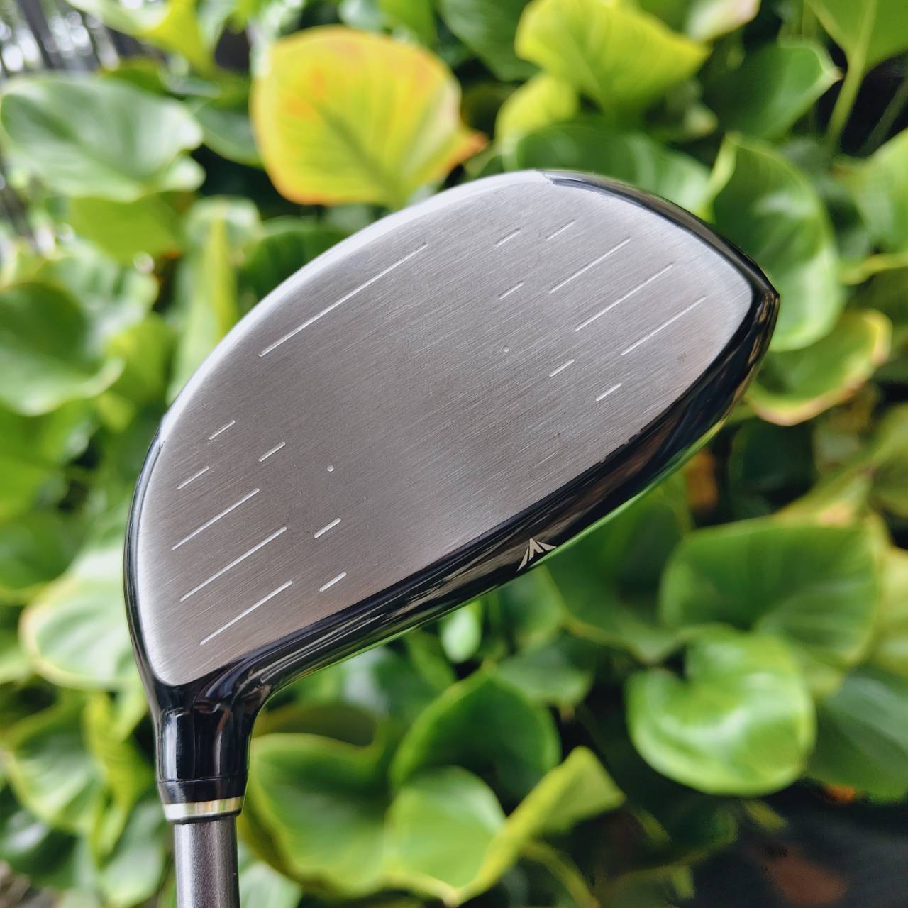 Driver XXIO6 เทคโนโลยี Face: Cup Face + variable thickness → เพิ่ม ball speed และ distance