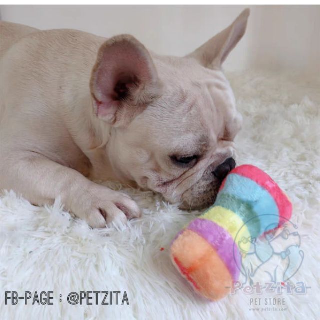 🇹🇭 พร้อมส่ง 🇹🇭🌈🌈 #กระดูกสีรุ้ง 🌈🌈 Colorful-Bone 🌈🍖🍗 ตุ๊กตาของเล่นสัตว์เลี้ยง 🐶 (บีบมีเสียงปี๊บๆ ด้วยนร้า )