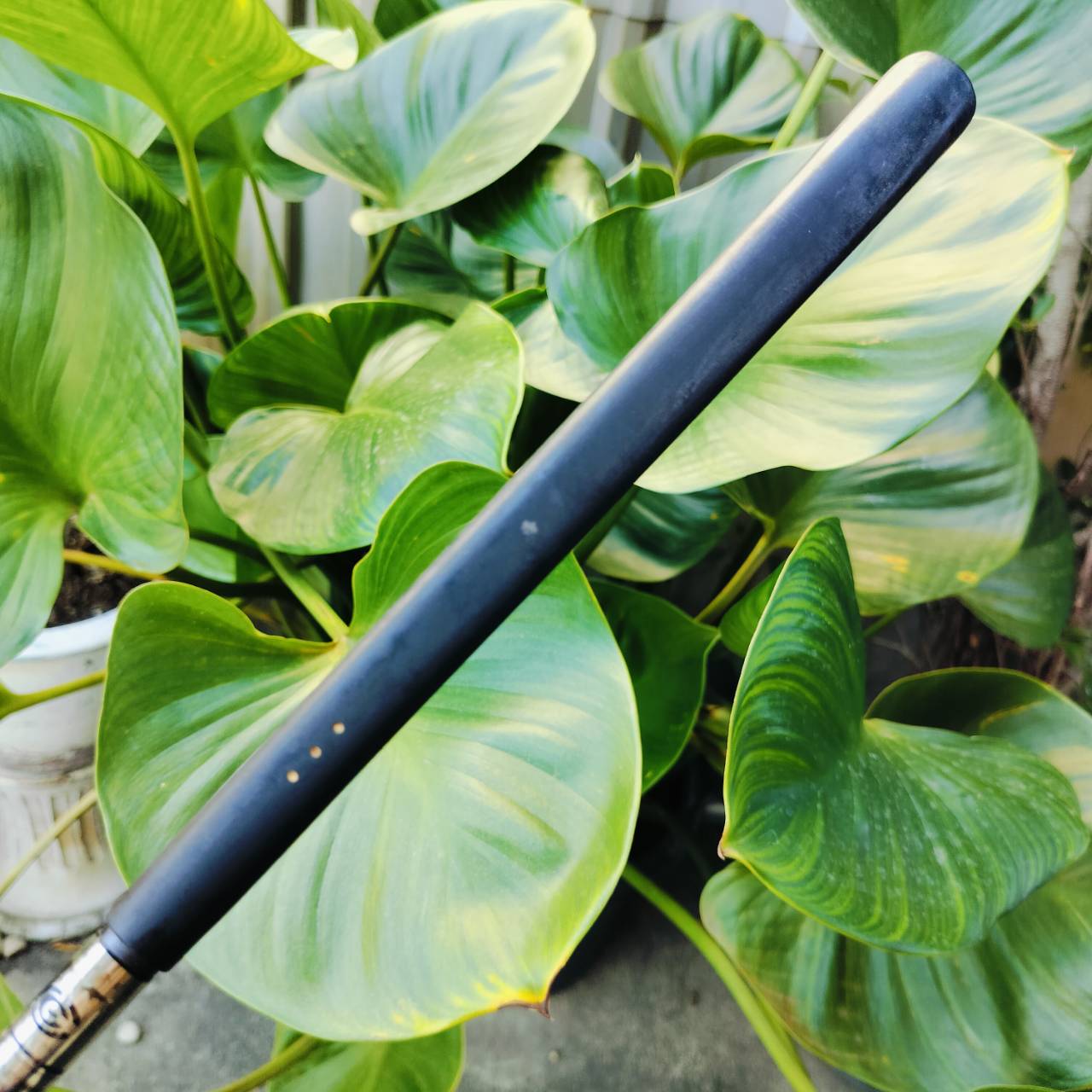 *** ไม้กอล์ฟสำหรับผู้หญิง *** PUTTER MIZUNO EFIL ยาว 33 นิ้ว ก้านกริพเดิมๆทั้งหมด ไม้กอล์ฟพรีเมี่ยมมือสอง ของแท้ By NakaraLuxurious