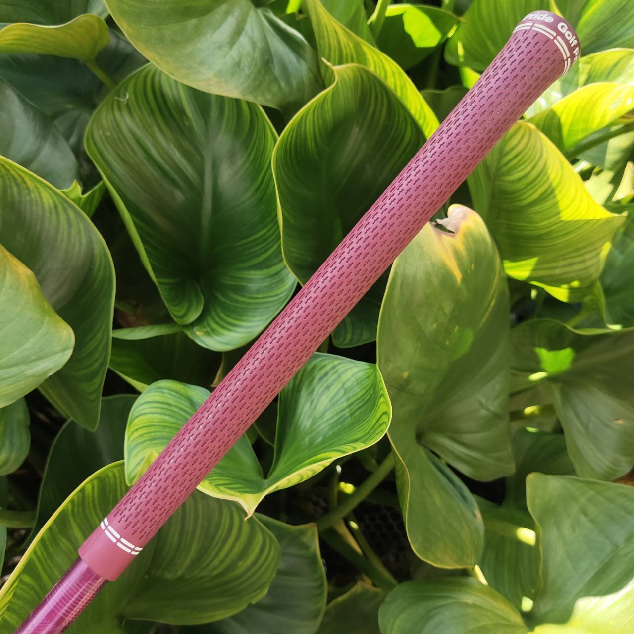 Wedge PING G Le2 SW (56°) – ของดีสำหรับผู้หญิงที่รักการเล่นลูกสั้น!