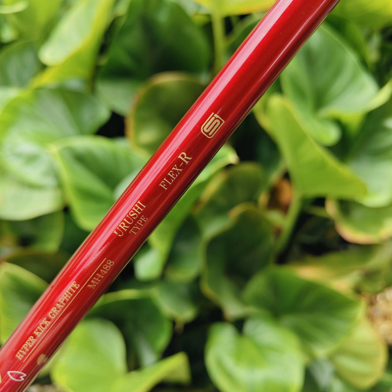 Driver Mutsumi Honma MH488X → High COR Face (หน้าเด้ง) ตีโดนตรงหรือขอบหน้าไม้ยังได้ระยะใกล้เคียงกัน