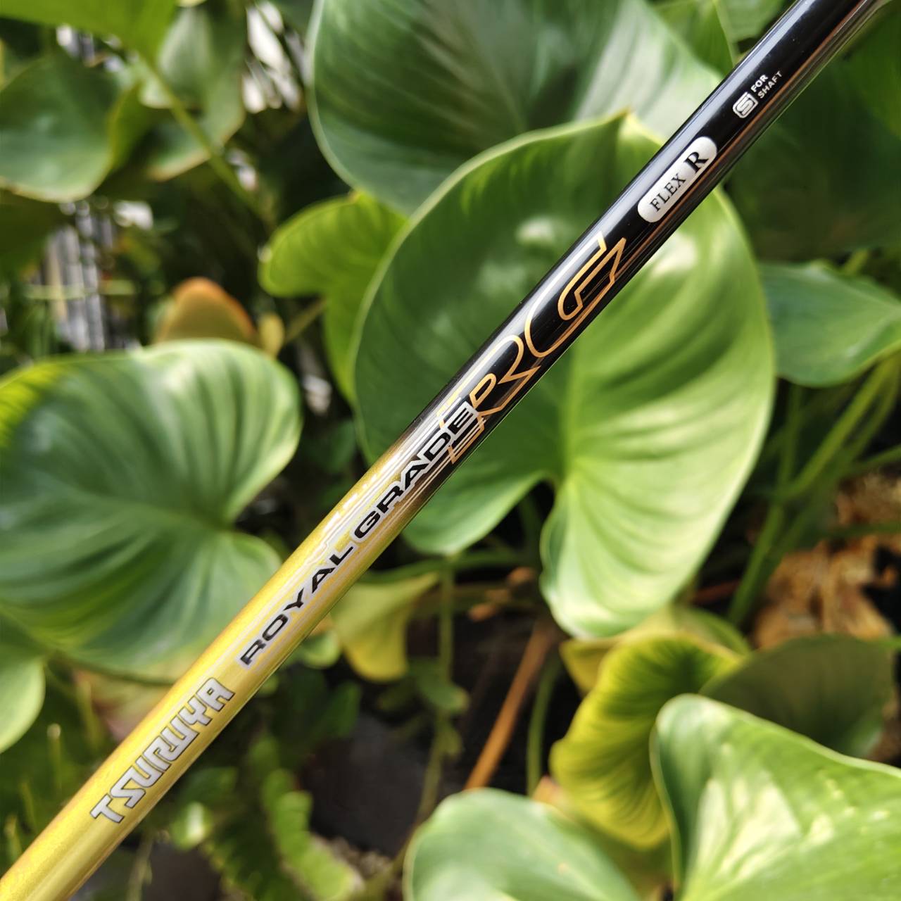 5W TSURUYA ROYAL GRADE องศา 18 FLEX R ตัวดังที่ขึ้นชื่อเรื่อง “ตีง่าย และไกลแบบไม่ต้องออกแรงเยอะ”