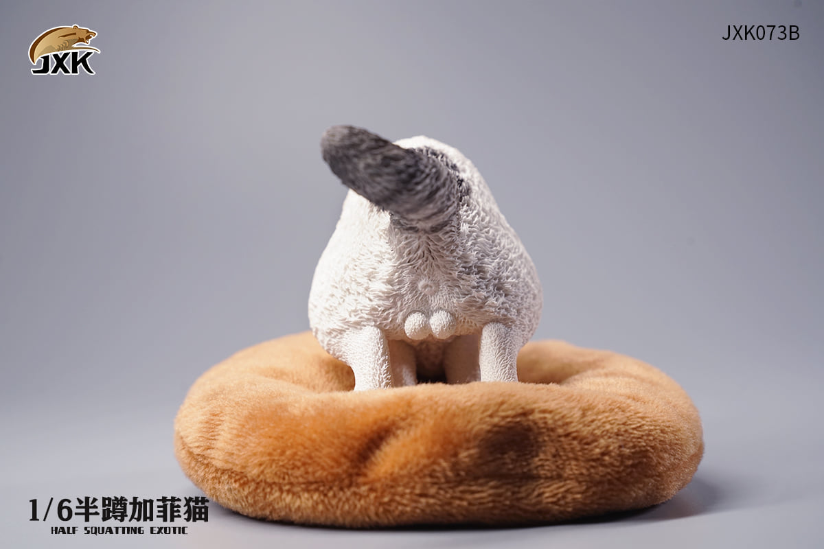 [สั่งจอง]JXK JXK073 ABCD 1/6 : Half squatting ExoticShorthair