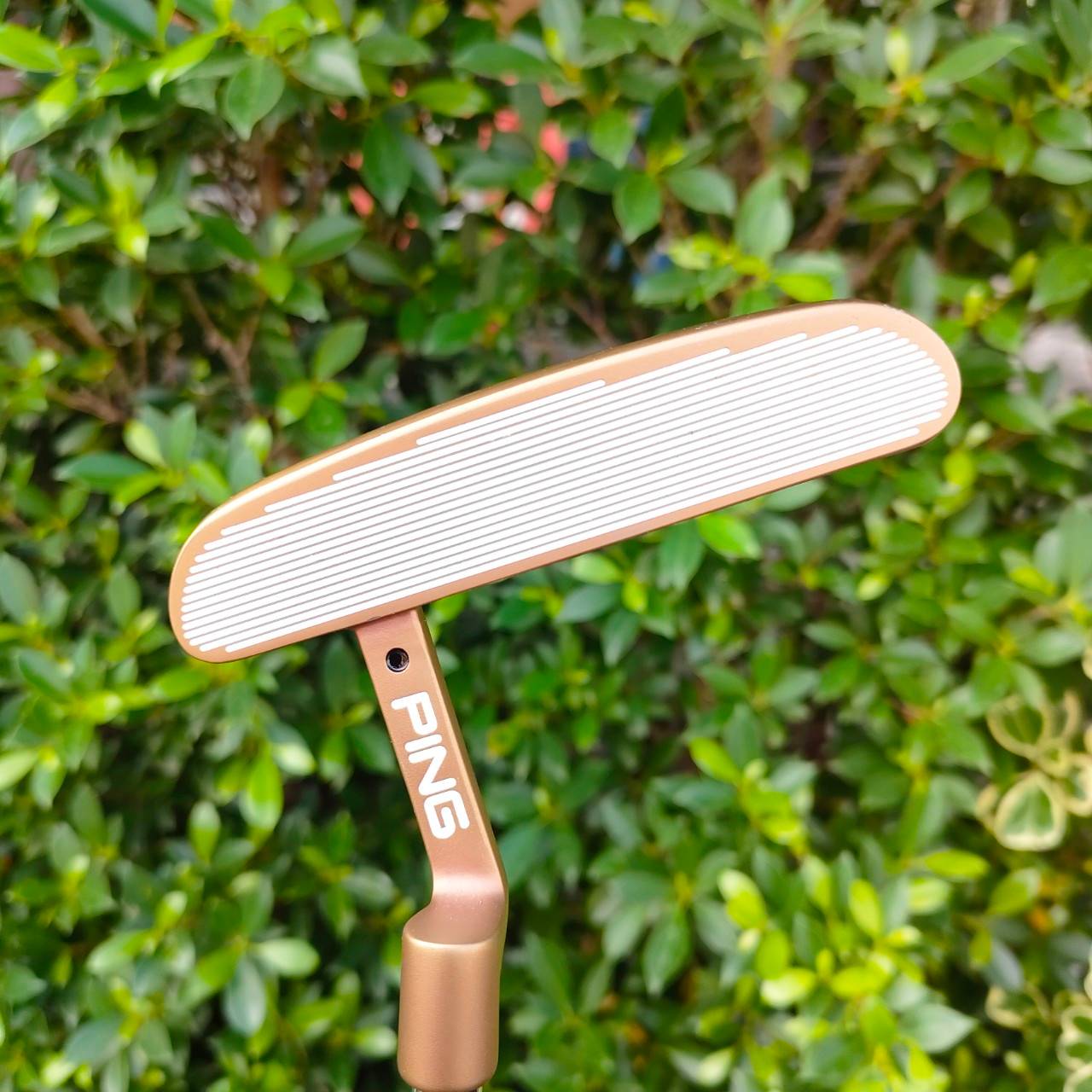 PUTTER PING KARSTEN TR B60 ก้าน PING STROKE FITTING ความยาว 35 นิ้ว หน้าสัมผัสสุดๆ เกาะไบน์มาก สวยพรีเมี่ยมมาก