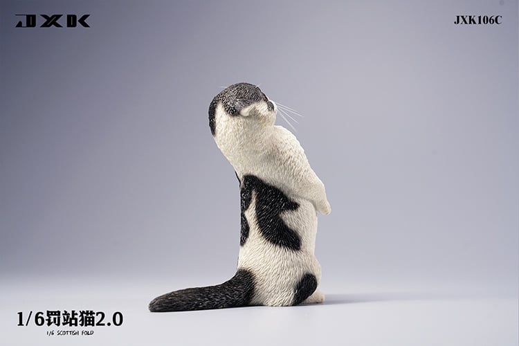 [สั่งจอง]JXK : Scottish Fold/Chckling/Duckling