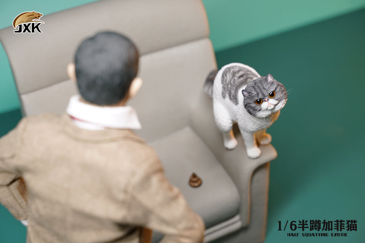 [สั่งจอง]JXK JXK073 ABCD 1/6 : Half squatting ExoticShorthair
