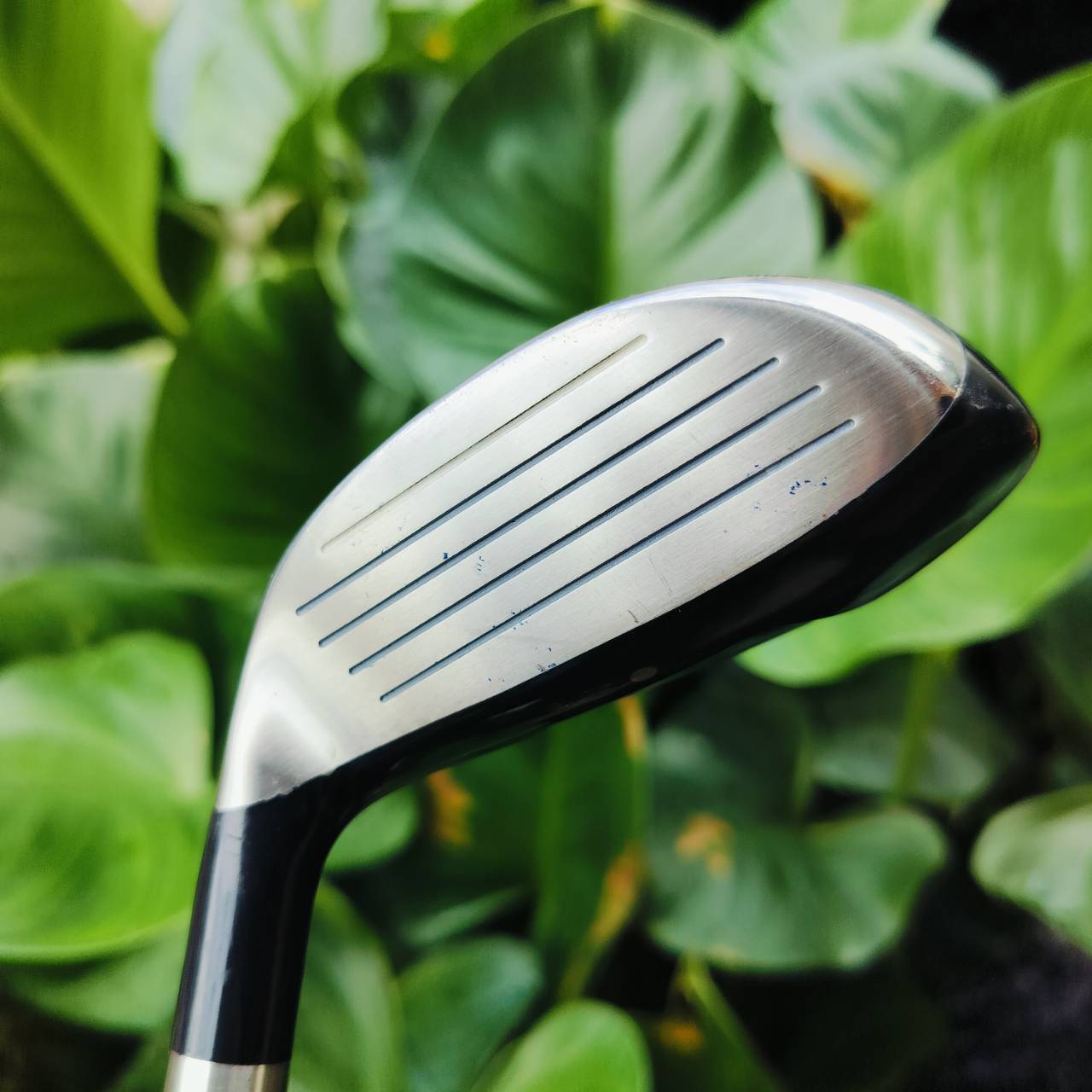 *** ไม้กอล์ฟสำหรับผู้หญิงหรือ ซีเนียร์ที่สวิงเบาๆ ตีได้สบายค่ะ*** . UT4 NIKE IGNITE ออกแบบเรียบหรูและตีดีมาก ไม้กอล์ฟพรีเมี่ยมมือสอง ของแท้ By NakaraLuxurious