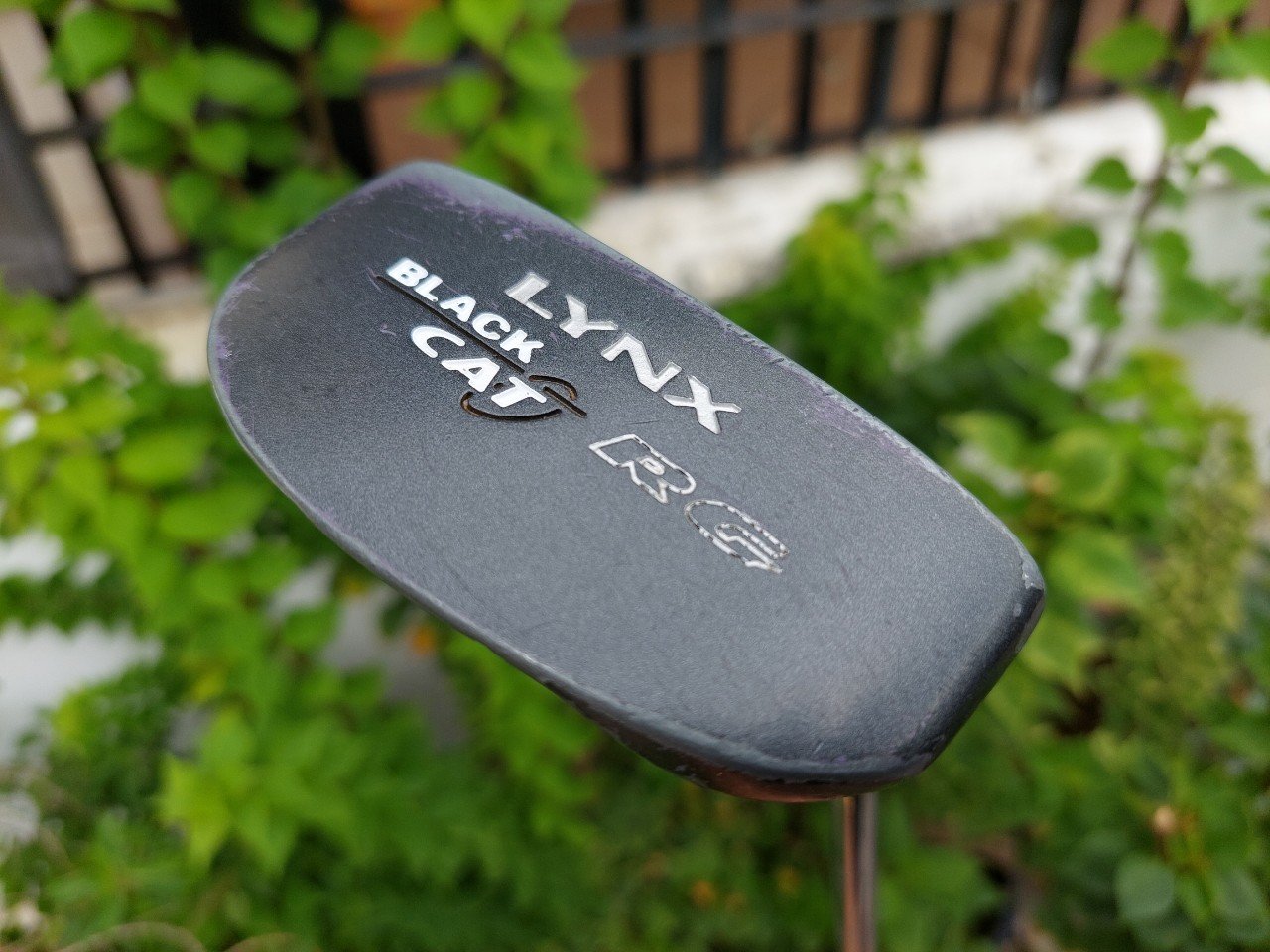 PUTTER LYNX BLACK CAT RG