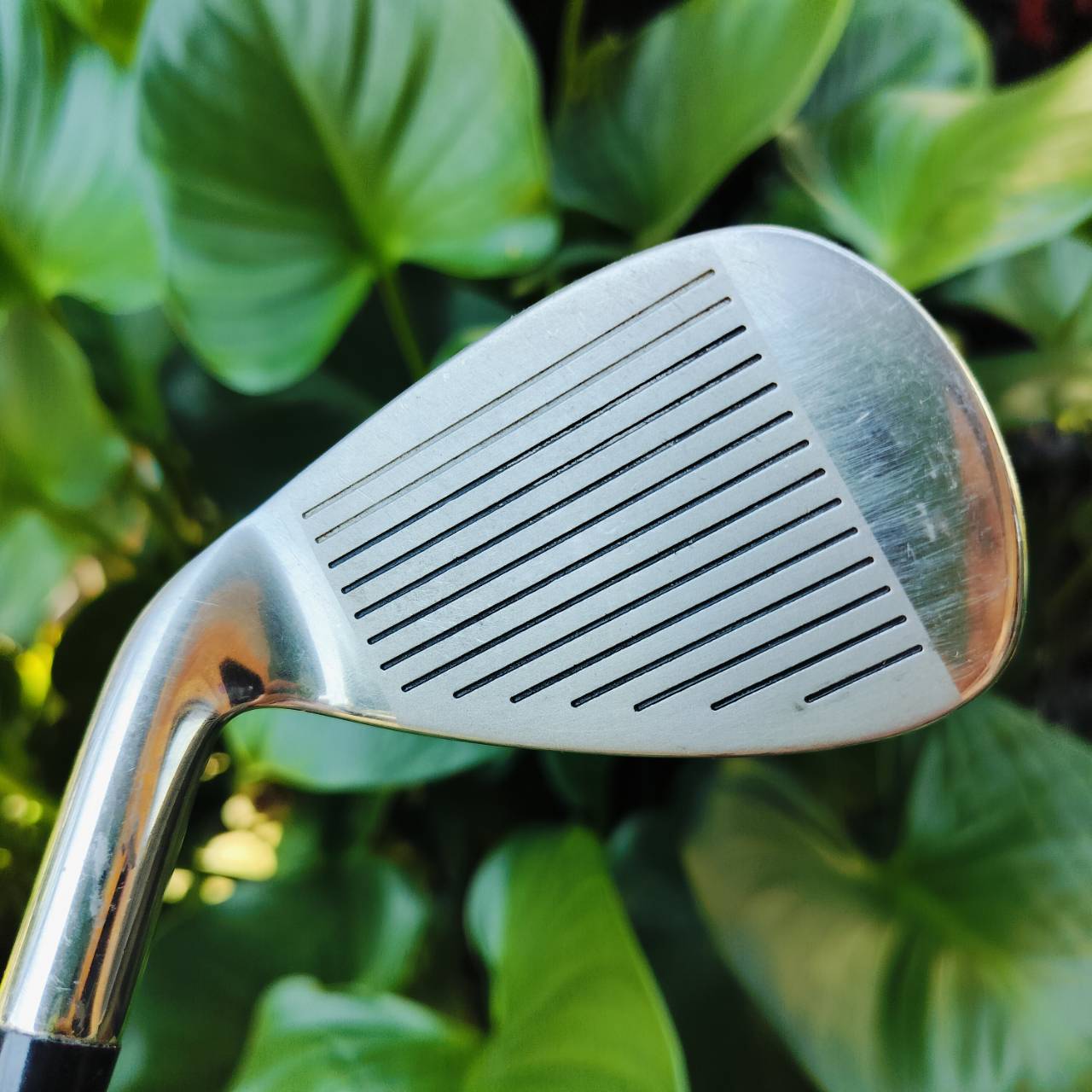 ชุดเหล็ก PROKENNEX SI-30 PLUS ก้าน TOUR BALANCE FLEX R เป็นชุดเหล็กที่มี CAVITY ลึก ด้าน SOLE ยืดยาวออกด้านหลัง ทำให้เป็นชุดที่ตีง่ายอย่างมาก ไม้กอล์ฟพรีเมี่ยมมือสอง ของแท้ By NakaraLuxurious