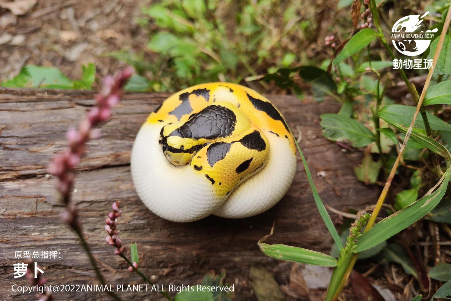 [สั่งจอง]Animal Planet : a series of laugh and grow fat No.9