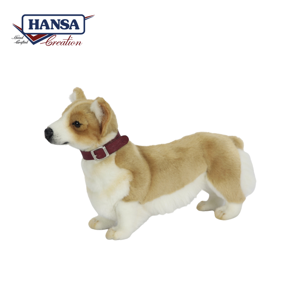 6878 Welsh Corgi 35cm.L